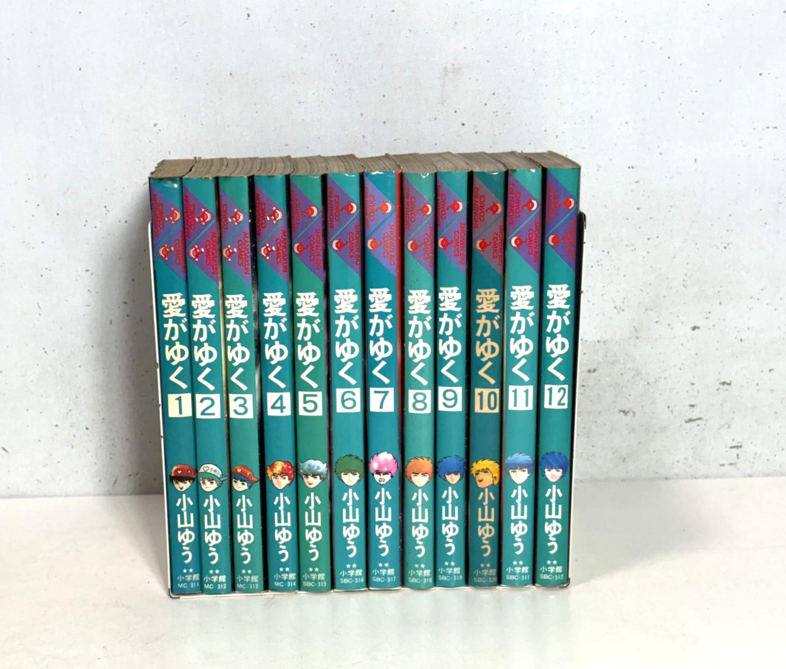 Amazon.co.jp: 愛がゆく (全12巻) 【コミック・セット】 : 小山 ゆう: 本